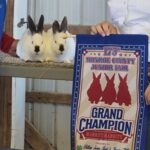 Dunson Rabbitry