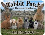 Rabbit Patch Homestead