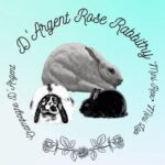 D’Argent Rose Rabbitry