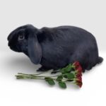 Forest Rose Rabbits Forest Rose Rabbits
