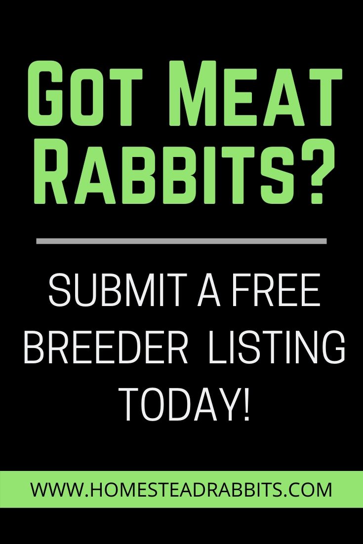 Meat Rabbit Breeder List - Homestead Rabbits