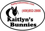 Kaitlyn’s Bunnies