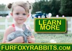 FurFoxy Rabbits