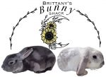 Brittany’s Bunny Shack